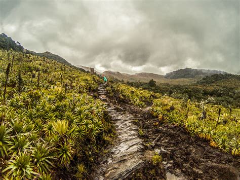  Landscapes of Memory: An Ode to Colombian Nostalgia and Identity